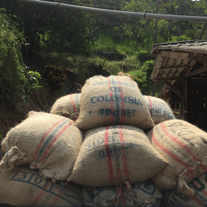 Hovedbilde Colombia, Finca las Mercedes