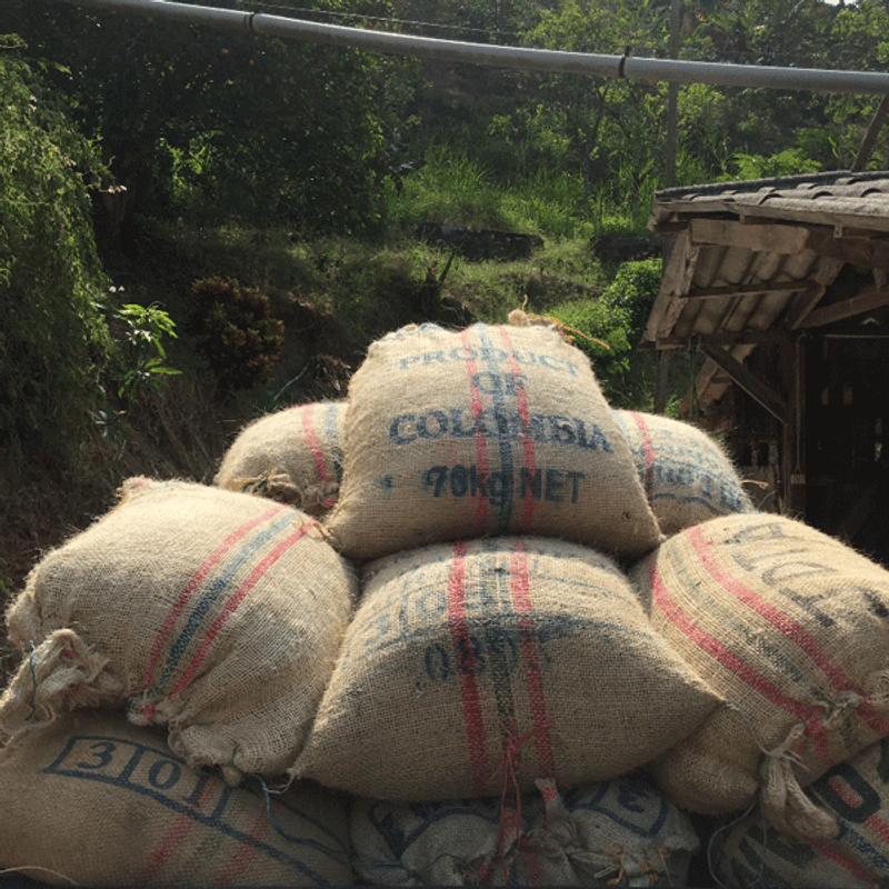 Colombia, Finca las Mercedes