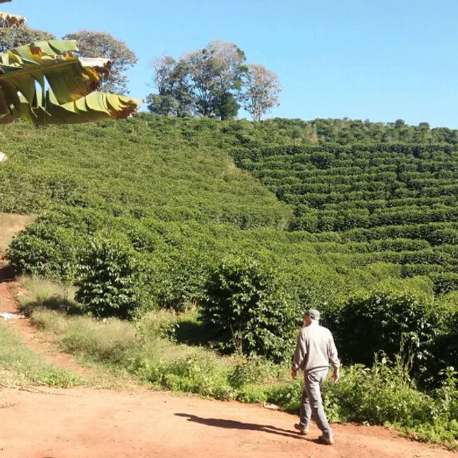 Hovedbilde Espresso og baristamaskin